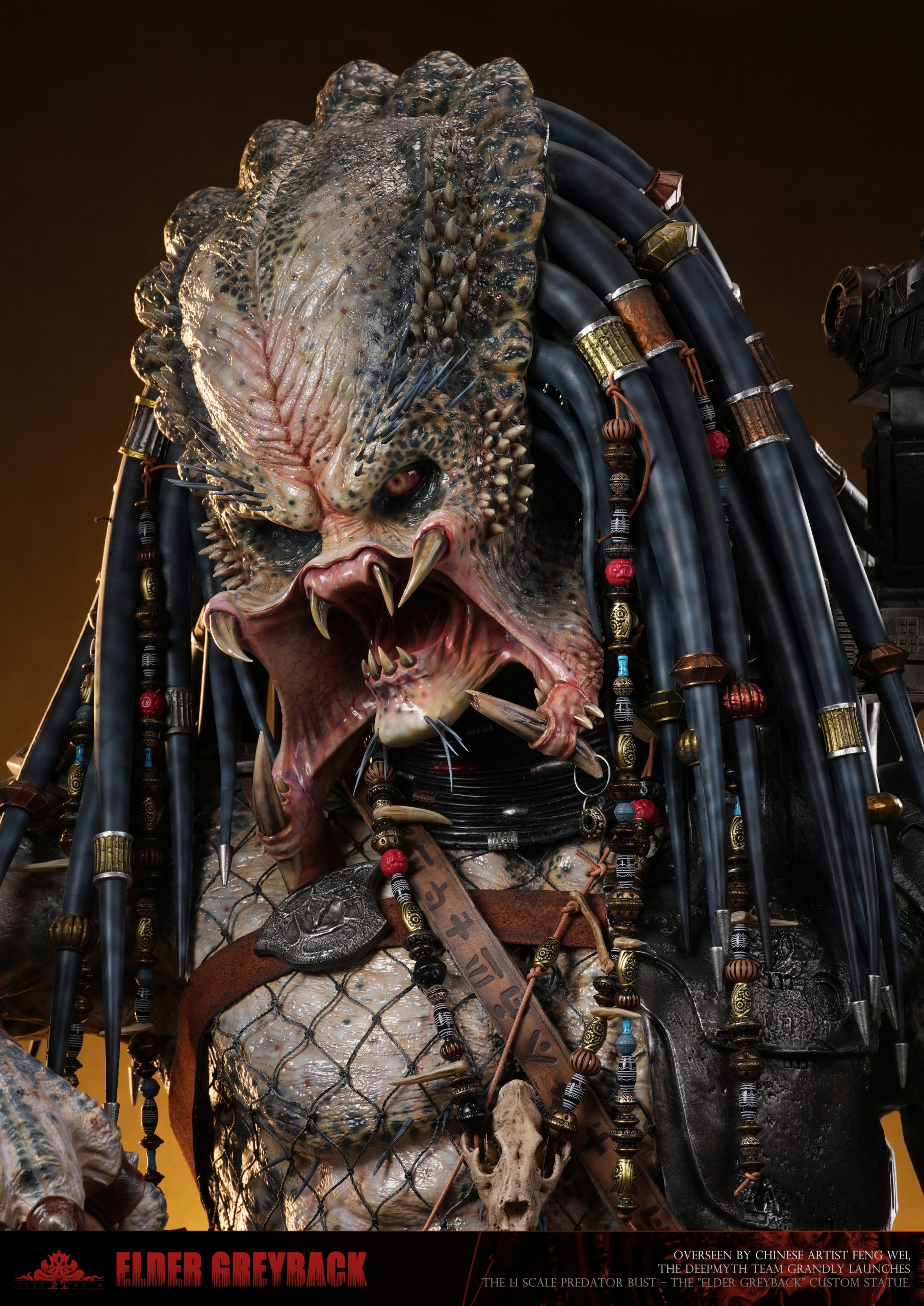 elder predator greyback elder predator greyback